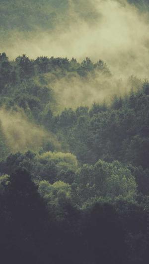 黑侠蜘蛛池2.0破解版截图5