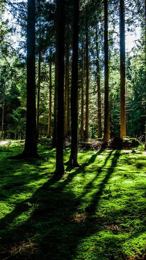 聚合泛目录v5.0站群截图1