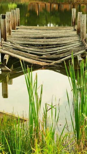 2020最新小强泛目录站群程序截图2