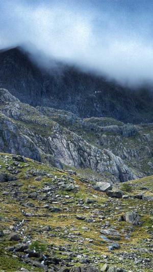 小旋风蜘蛛池怎么样截图1