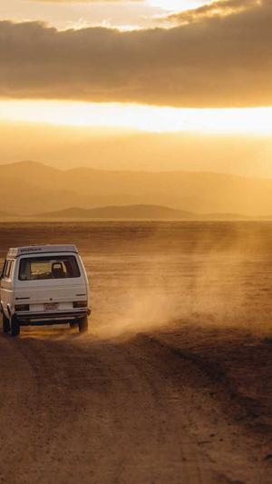 蜘蛛池搭建成本多少元截图3