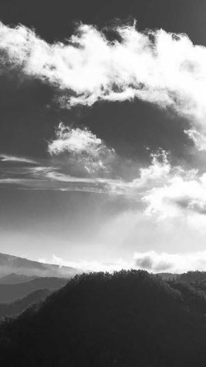 蜘蛛池出租代运营截图4