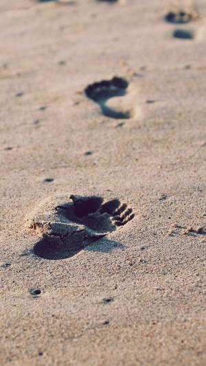 蜘蛛池如何自己搭建截图4