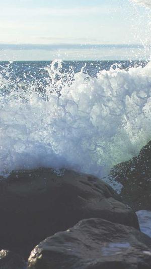 惠州seo博客截图1