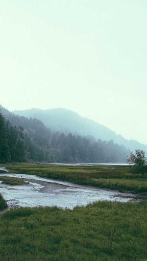 2021泛目录程序截图4