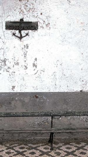 山林自建蜘蛛池截图2