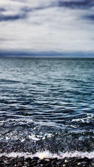 泛目录网站搭建截图1