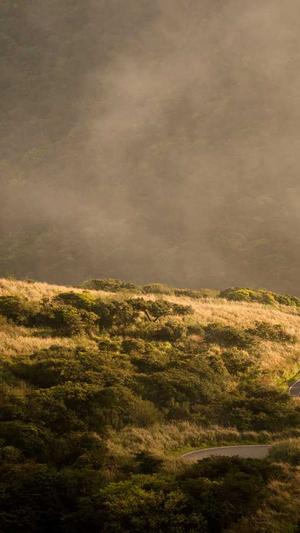 蜘蛛池搭建图解教程图截图5