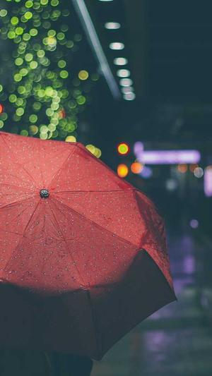 黑帽蜘蛛池培训截图4