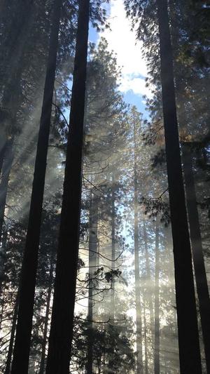 seo站长工具截图3