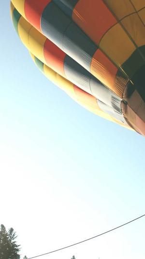 超级蜘蛛池最新截图3