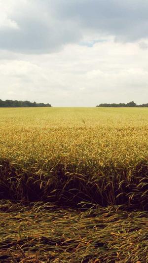 泛目录推广接单2020截图4