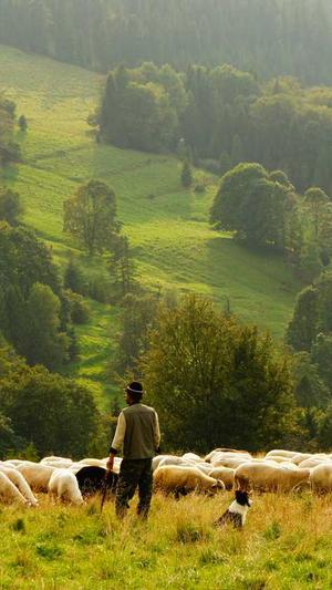 新手做泛目录截图3