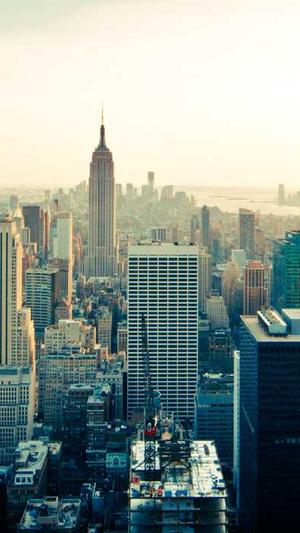 黑帽seo蜘蛛池截图4