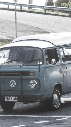 蜘蛛池蜘蛛越来越少截图1