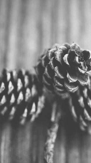 梦幻西游私服qq群截图3