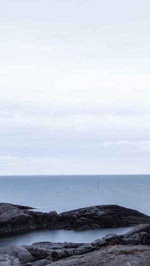 蜘蛛池如何自己搭建截图5