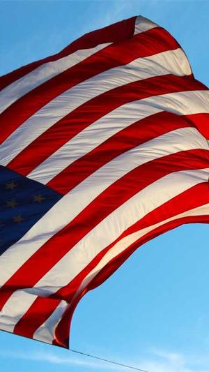 泛目录站群灰色词代做截图2