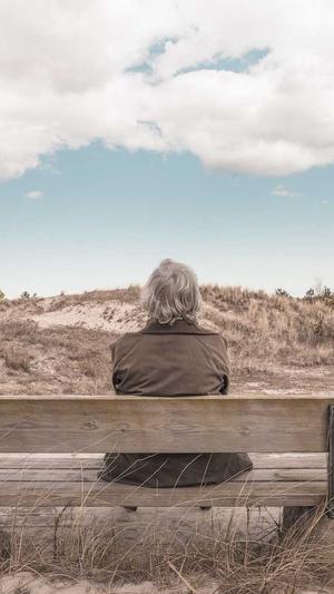 搜狗泛目录租用截图4