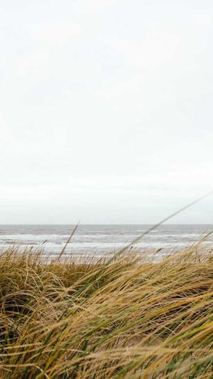 蜘蛛池搭建图解教程图截图2