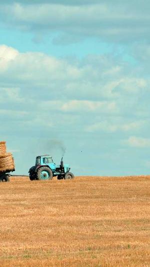 搜外蜘蛛池截图5