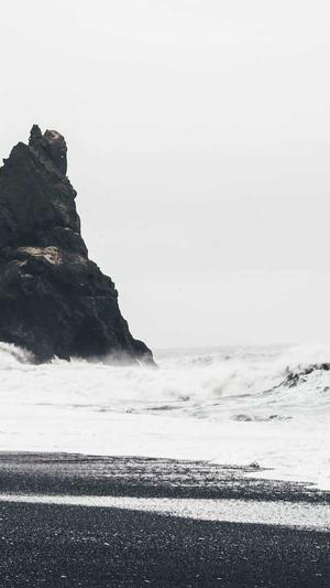 小旋风蜘蛛池怎么样截图3