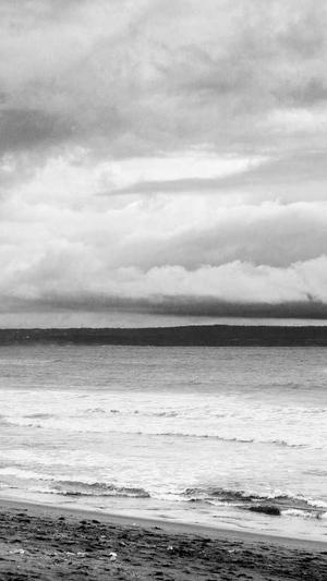 小旋风万能蜘蛛池详解截图1