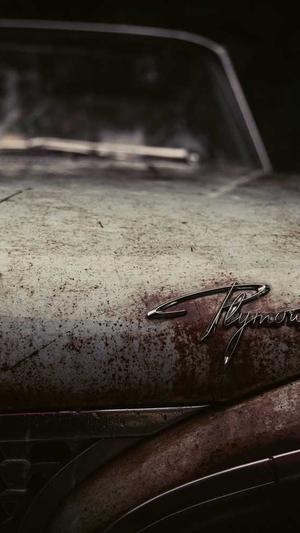 seo培训教程泛目录截图3