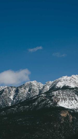 内蒙古百度蜘蛛池出租截图3