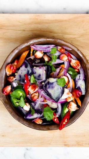 蜘蛛池收录网站截图1