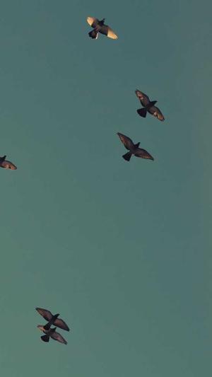 千云站蜘蛛池截图3