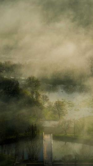 seo优化方式截图5