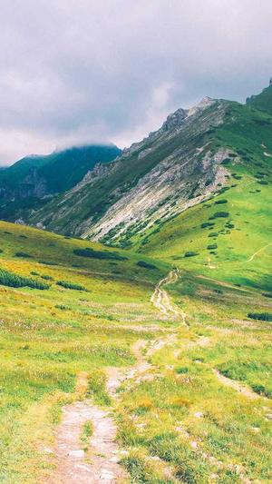 蜘蛛池前台会员模板截图2