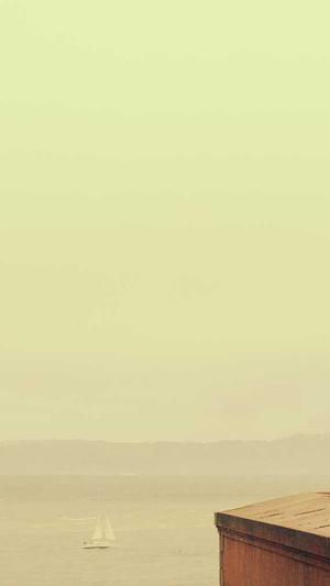 蜘蛛池收录网站截图3