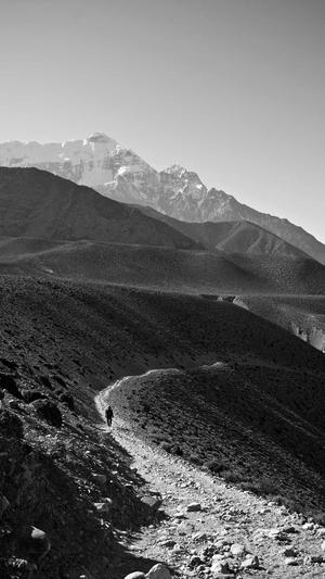 泛亚文化目录截图3