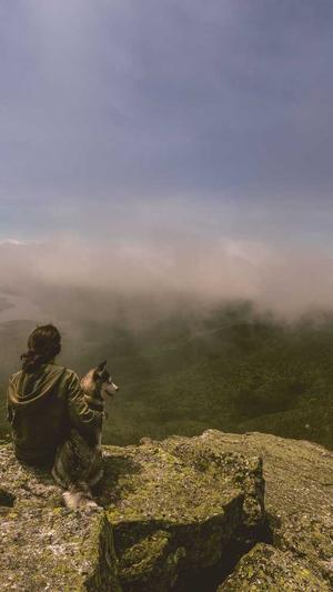 蜘蛛池妙收录免费测试截图3