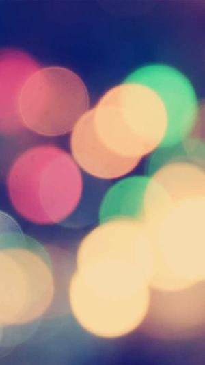 宁夏蜘蛛池出租服务截图1