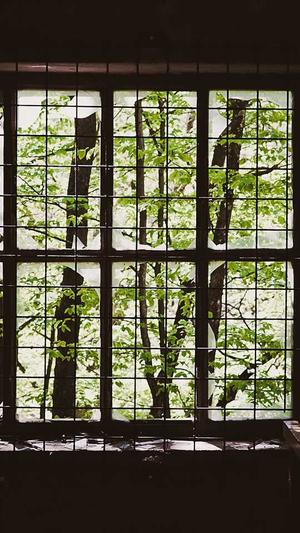 蜘蛛池出租代运营截图5