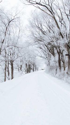 seo入门书籍截图4