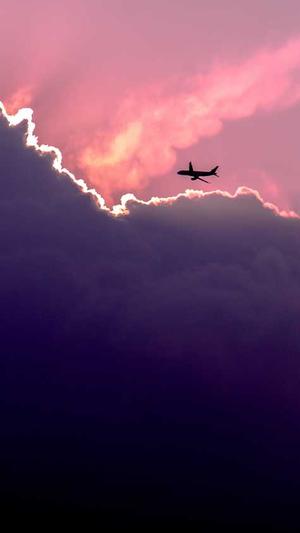 梦幻西游手游私服论坛截图3