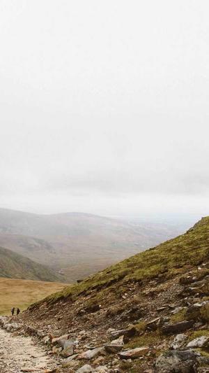 内蒙古百度蜘蛛池出租截图1