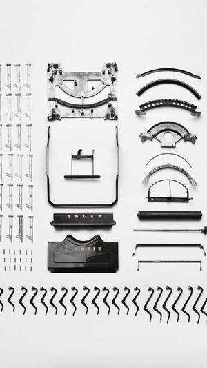 蜘蛛池的搭建技巧图片截图1