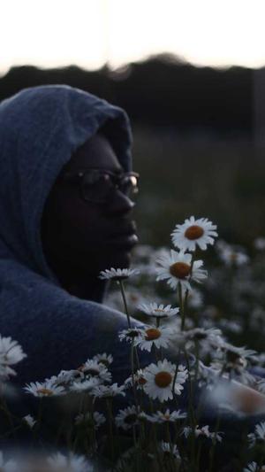 蜘蛛池收录网站截图4