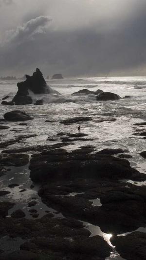 蜘蛛池的含义是什么截图5