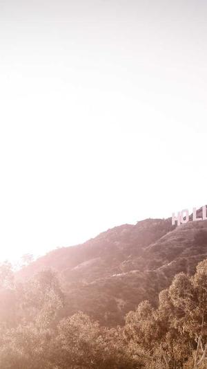 排名精灵seo截图3