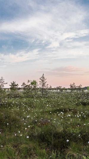 seo蜘蛛池教程截图5