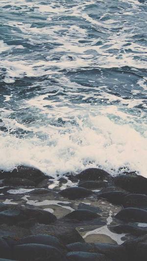 搜外蜘蛛池截图1