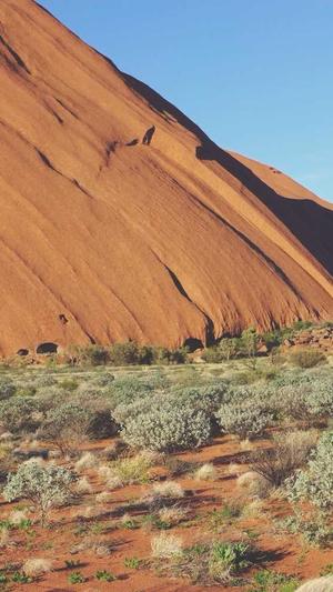 蜘蛛池的搭建技巧图片截图4