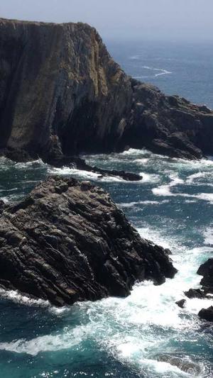 站内seo推广蜘蛛池截图3