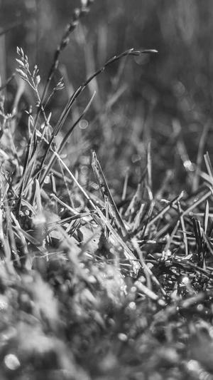 蜘蛛池优化seo平台截图1